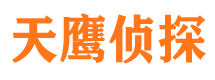 宿松天鹰私家侦探公司